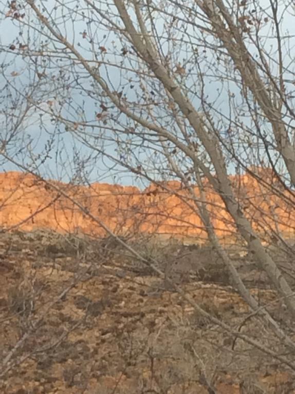 Beds Xpress 3* Moab